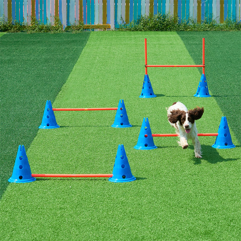 VEVOR Dog Agility Hurdle Cone fitness